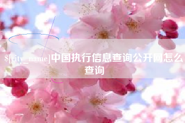 祁阳中国执行信息查询公开网怎么查询