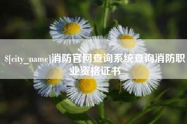 祁阳消防官网查询系统查询消防职业资格证书