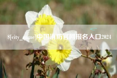 祁阳中国消防官网报名入口2024