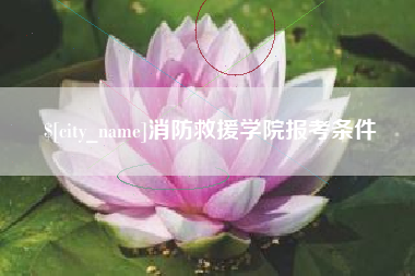祁阳消防救援学院报考条件