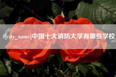 祁阳中国十大消防大学有哪些学校