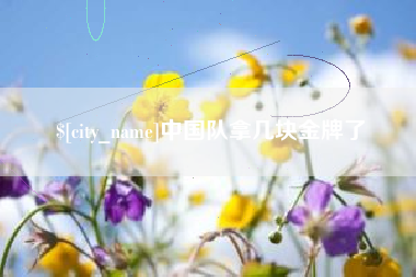 祁阳中国队拿几块金牌了
