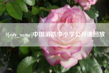 祁阳中国消防中小学公开课回放