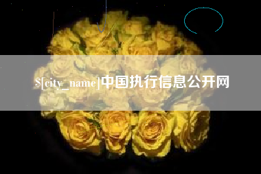 祁阳中国执行信息公开网