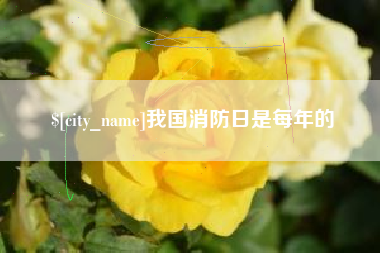 祁阳我国消防日是每年的
