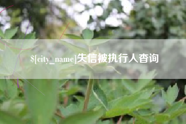 祁阳失信被执行人杳询