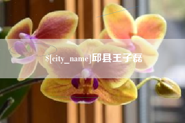 祁阳邱县王子磊