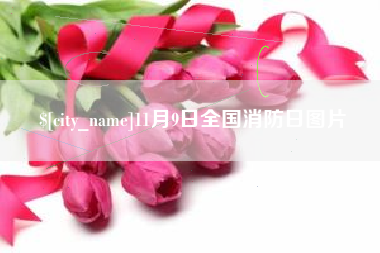 祁阳11月9日全国消防日图片