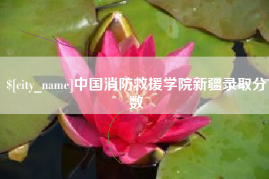 祁阳中国消防救援学院新疆录取分数