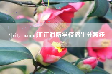 祁阳浙江消防学校招生分数线