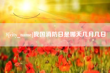 祁阳我国消防日是哪天几月几日
