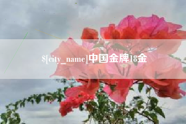 祁阳中国金牌18金