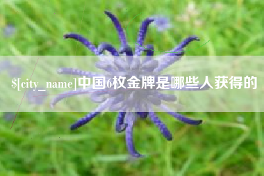 祁阳中国6枚金牌是哪些人获得的