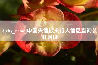 祁阳中国失信被执行人信息查询公开网址
