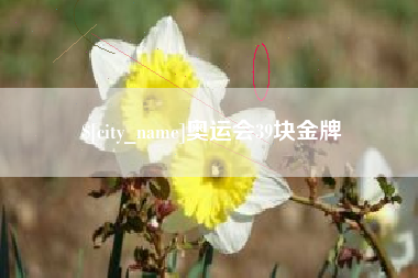 祁阳奥运会39块金牌