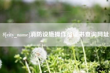 祁阳消防设施操作员证书查询网址