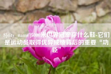 祁阳5000米世界冠军穿什么鞋-它们是运动员取得优异成绩背后的重要“功臣”