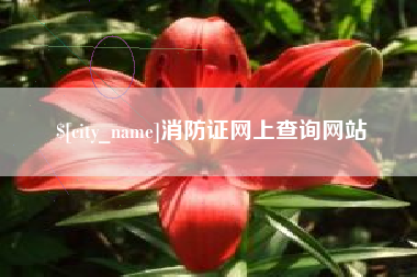 祁阳消防证网上查询网站