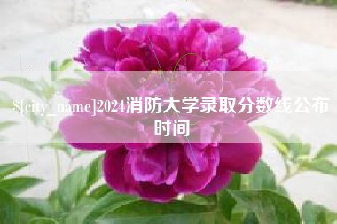 祁阳2024消防大学录取分数线公布时间