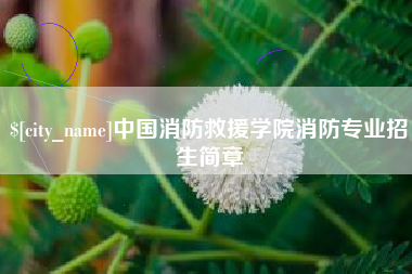 祁阳中国消防救援学院消防专业招生简章