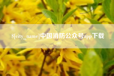祁阳中国消防公众号app下载