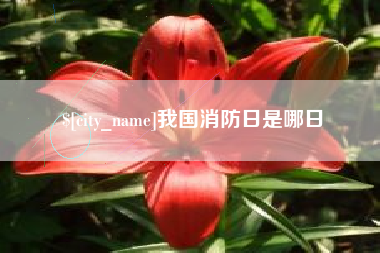 祁阳我国消防日是哪日