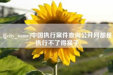祁阳中国执行案件查询公开网都是执行不了得案子