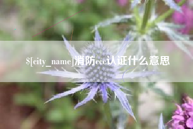 祁阳消防ccc认证什么意思