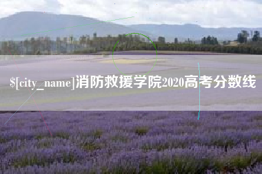 祁阳消防救援学院2020高考分数线