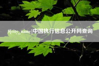 祁阳中国执行信息公开网查询