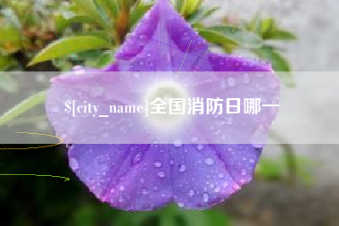 祁阳全国消防日哪一