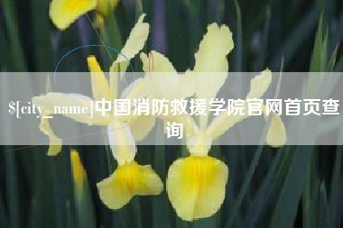 祁阳中国消防救援学院官网首页查询