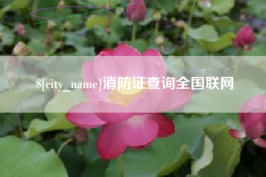 祁阳消防证查询全国联网