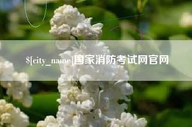 祁阳国家消防考试网官网