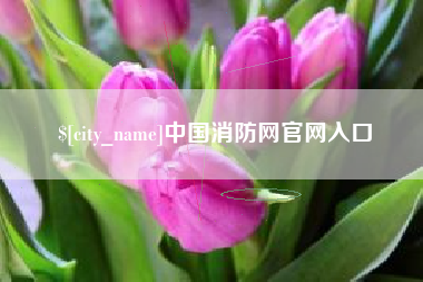 祁阳中国消防网官网入口