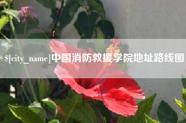 祁阳中国消防救援学院地址路线图