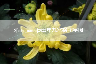 祁阳2022年九宫格飞星图