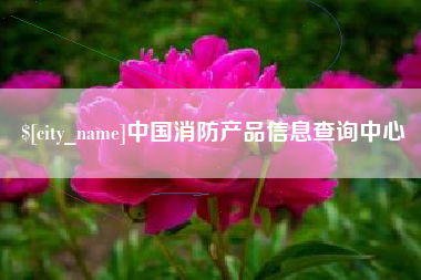 祁阳中国消防产品信息查询中心