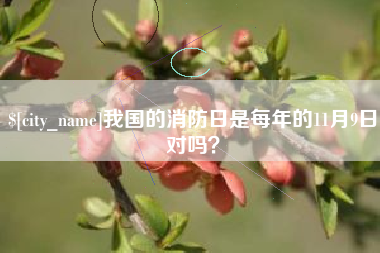 祁阳我国的消防日是每年的11月9日对吗？
