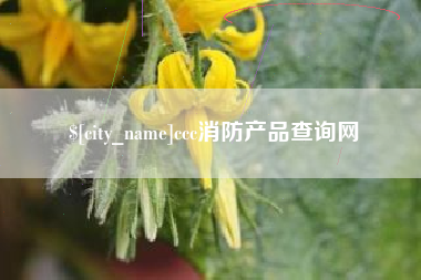 祁阳ccc消防产品查询网