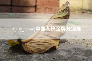 祁阳中国九枚金牌分别是