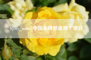 祁阳中国金牌都是哪个项目