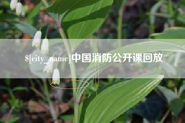 祁阳中国消防公开课回放
