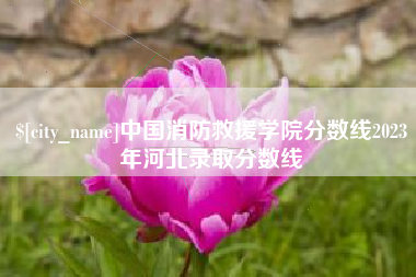 祁阳中国消防救援学院分数线2023年河北录取分数线