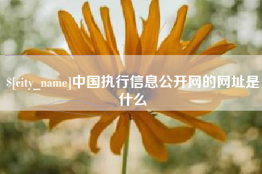 祁阳中国执行信息公开网的网址是什么