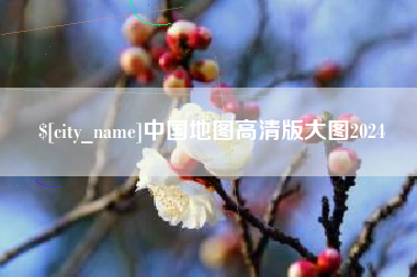 祁阳中国地图高清版大图2024