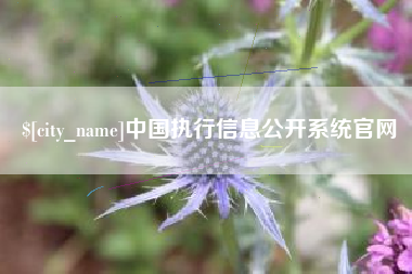 祁阳中国执行信息公开系统官网
