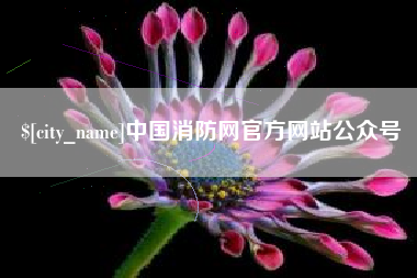 祁阳中国消防网官方网站公众号