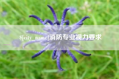 祁阳消防专业视力要求