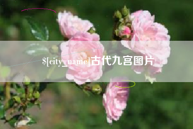 祁阳古代九宫图片